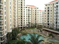 Aspen Heights (D9), Condominium #523438371